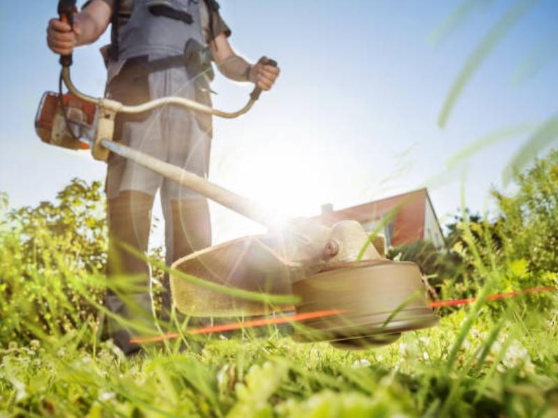 Roçadeiras Stihl: Qual modelo escolher para qual tipo de terreno?