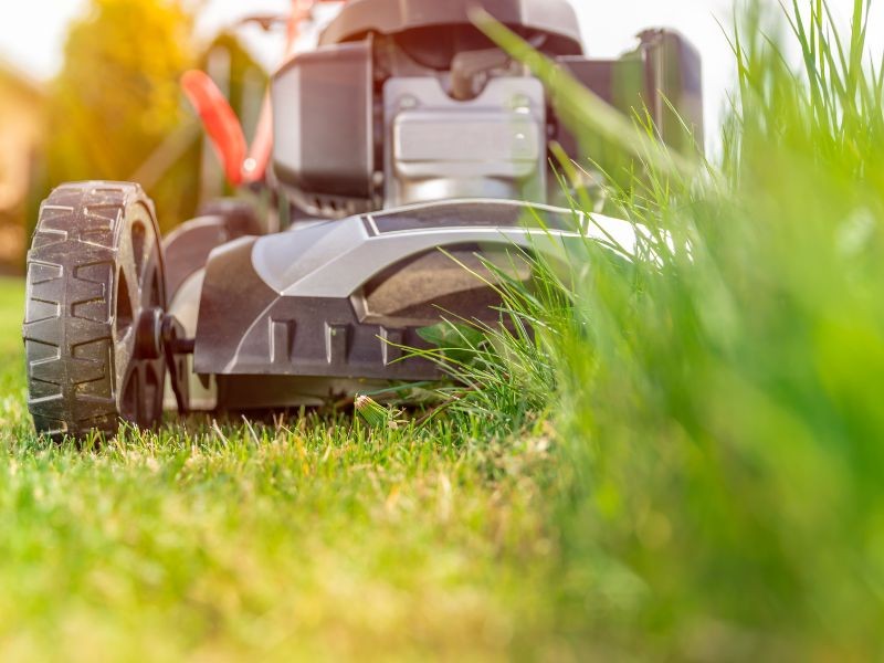 Quais os principais diferenciais dos novos cortadores de grama a combustão STIHL frente aos modelos elétricos ou a bateria?