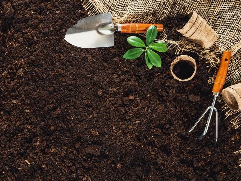 Ferramentas de jardinagem: quais são essenciais para iniciantes? Guia completo para começar